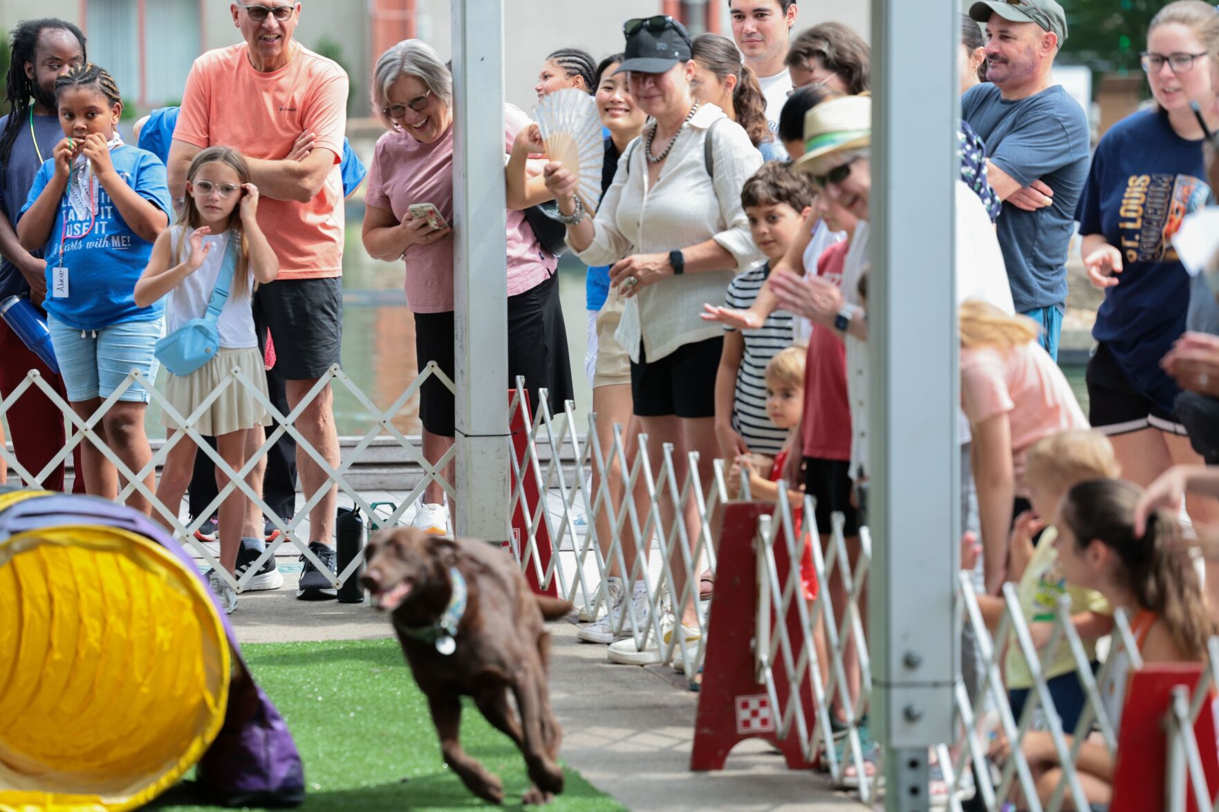 Purina dogs showcase skills at Union Station